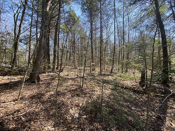 2nd image of LOT 43 South Village Rd