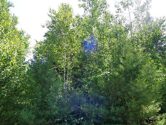3rd image of Lot 10 Bailey Mountain Road