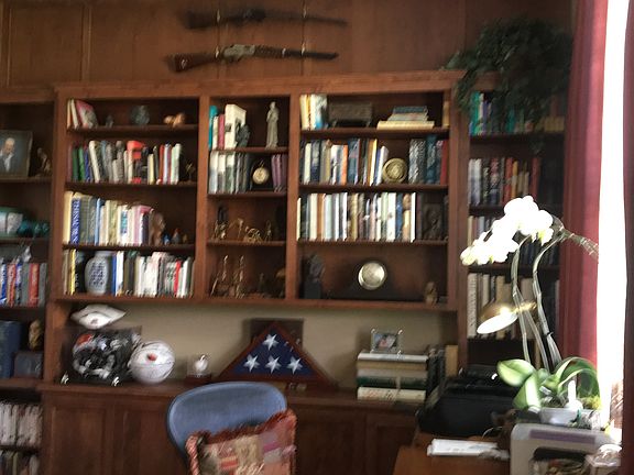 Custom book sheves in office