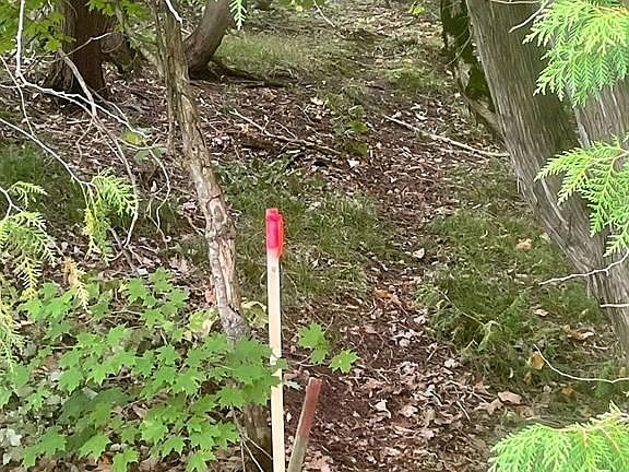 2nd image of 0 Adams Cummings Rd