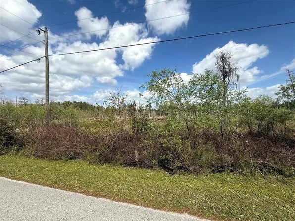 Green Willow Run #7470, Wesley Chapel, FL 33544
