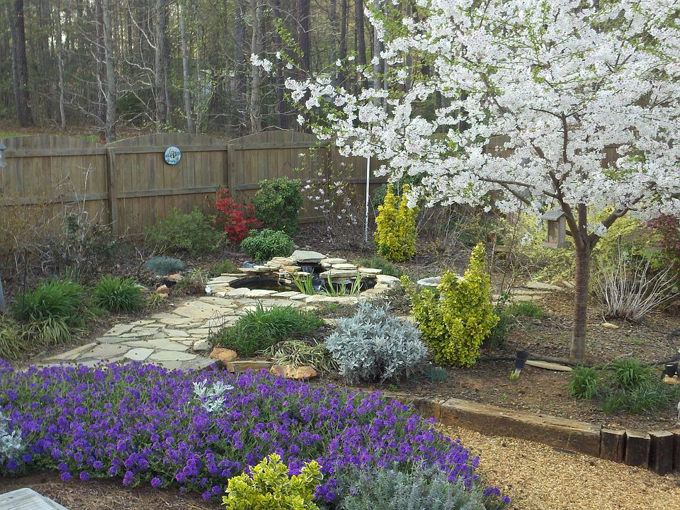 pond area