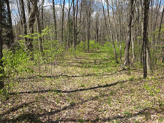 2nd image of 2536 Coggins Knob Rd
