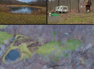 675 Finch Rd, Franklin, NY 13775