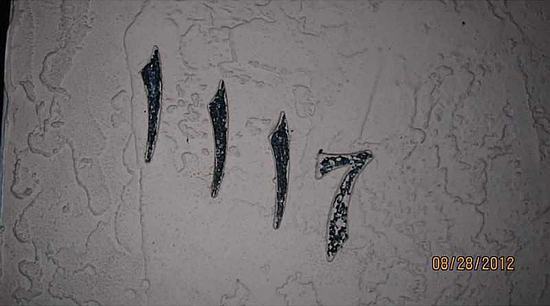 1st image of 1117 Himmarshee St