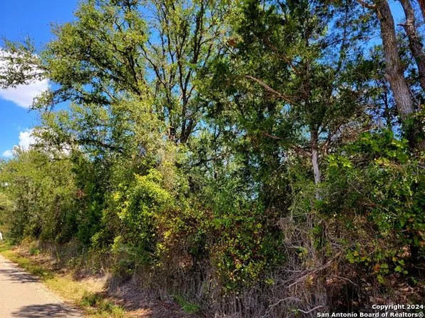 Dale Ln, Dale, TX 78616