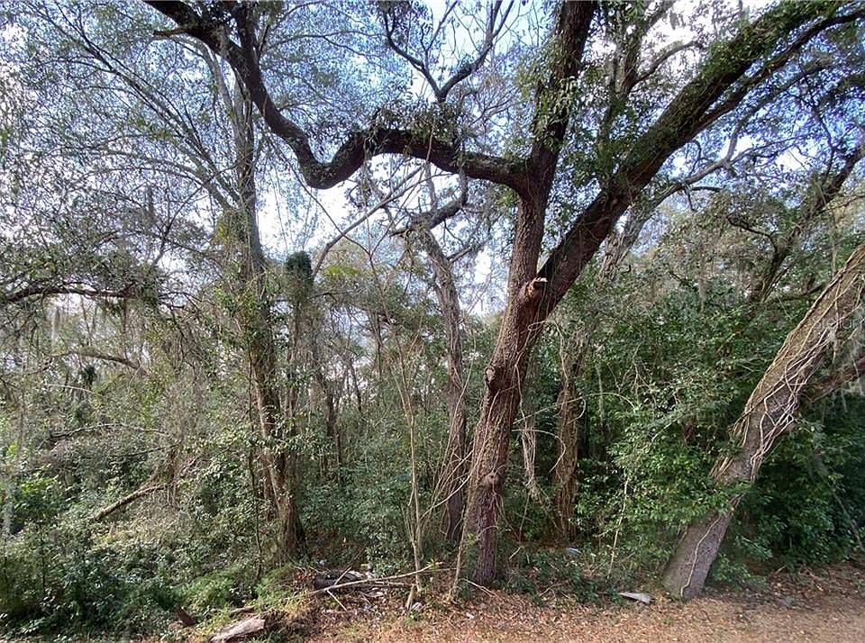 1st image of White Heron Dr