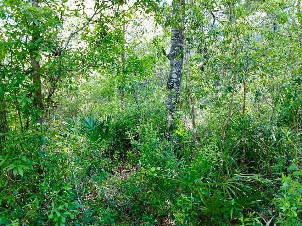 1st image of 0 Bunker Rd