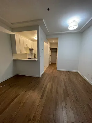 Rented by Voro NYC | media 22