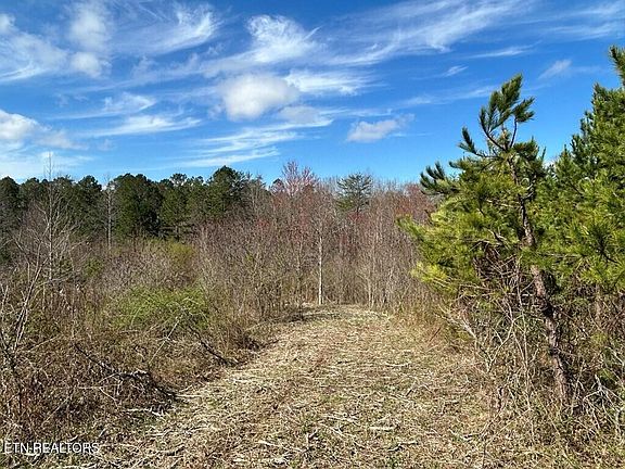 4th image of 0 Holt Spur Dr