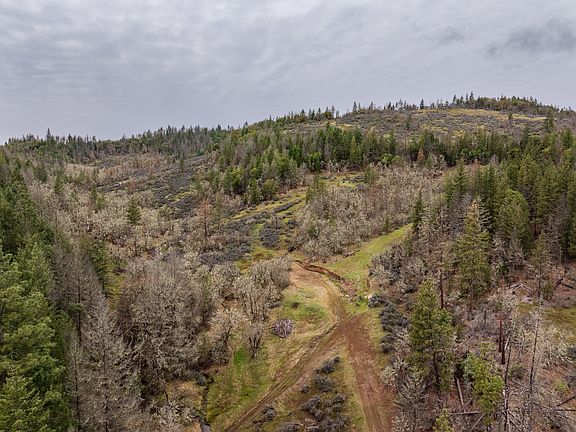 5th image of 2527 Crowfoot Rd