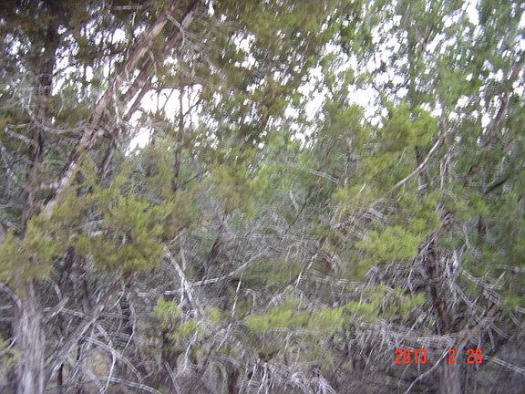 4th image of 2658 Waterfront Park Dr