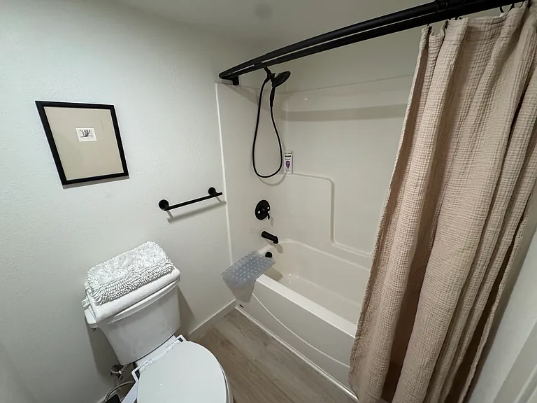 Main bathroom private toilet and shower/tub.