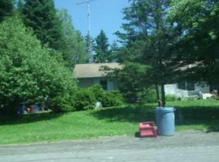 25 Eleanor Ln, Spencer, NY 14883