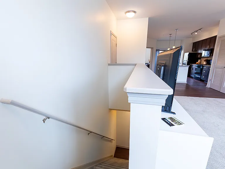 Schiller Model Unit