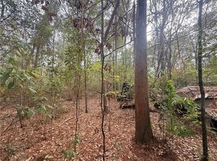 16040 W Murray Rd, Ponchatoula, LA 70454