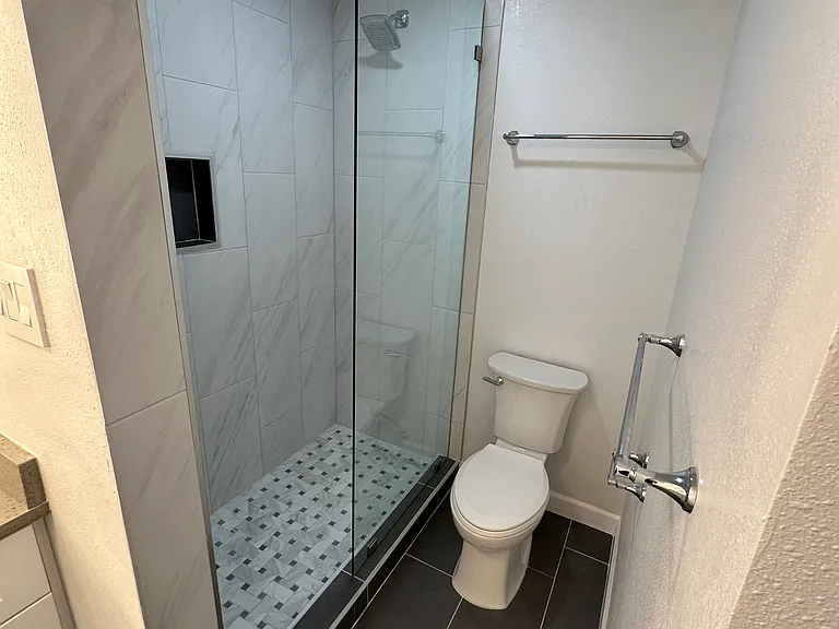 Bathroom shower and toilet
