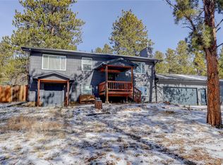95 Fitzsimmons Rd, Bailey, CO 80421