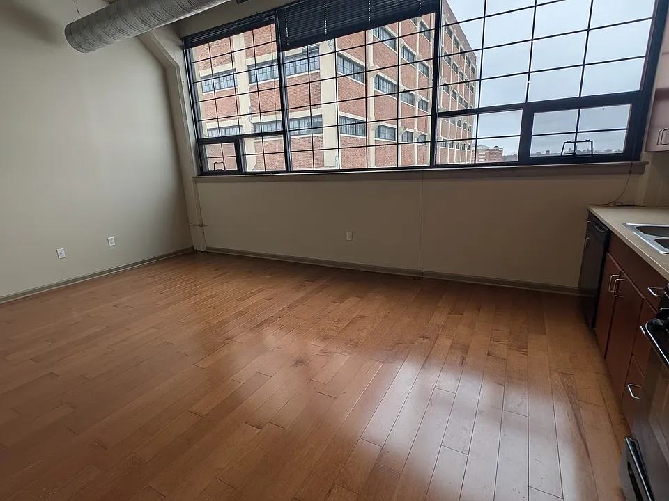 Type 5 large open living/kitchen space with a lot of natural light