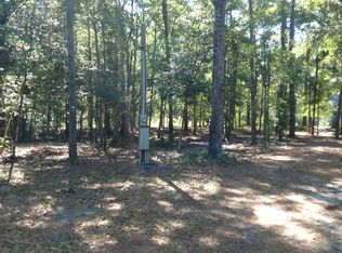 200 Tommy Long Rd, Rincon, GA 31326