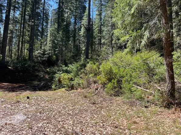 Juniper Ln, Strawberry Valley, CA 95981