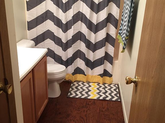 Bathroom without the Curtain