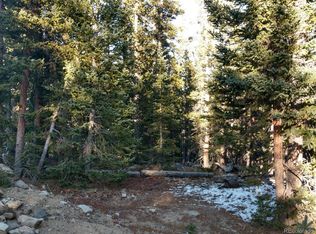 168 Silverheels Pl, Fairplay, CO 80440