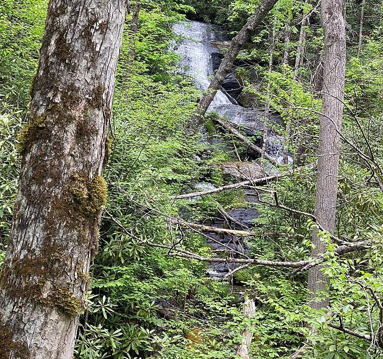 1st image of 121 Bear Track Dr