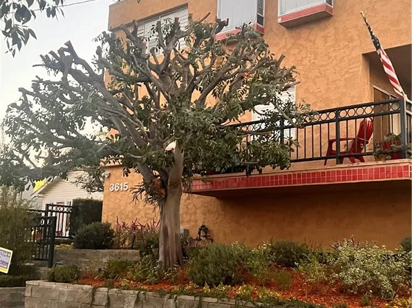 3615 S Carolina St APT 5, San Pedro, CA 90731