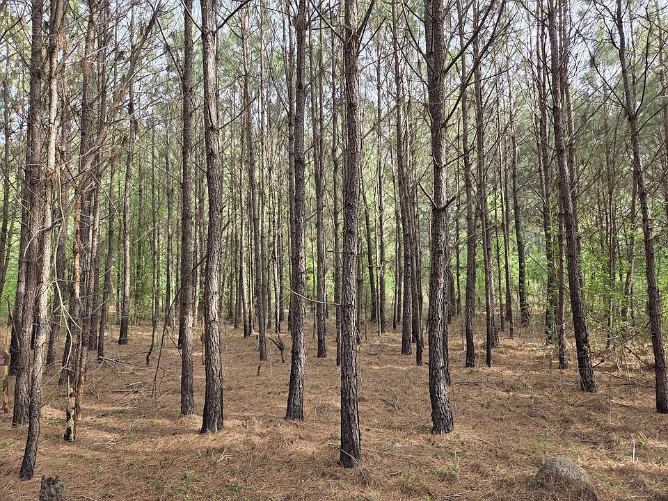 2nd image of 5328 County Line Rd.