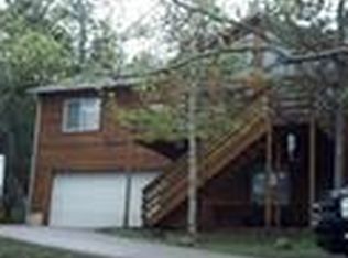 98 Random Rd, Bailey, CO 80421