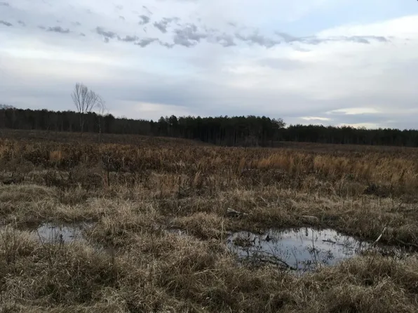 0 County Road 194, Montrose, AR 71658