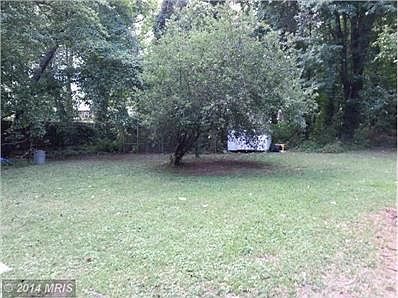 Rear Yard