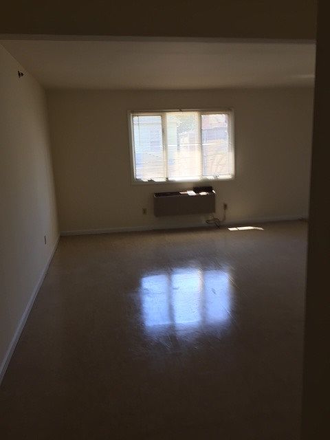 Living Room Area