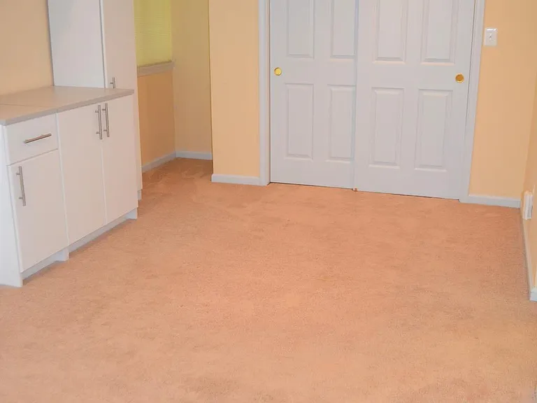 3809 Whispering Ln — Photo 17