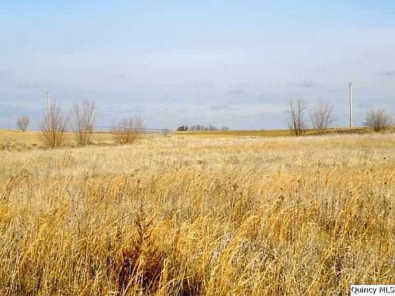 Home for Sale in Payson, IL $35,000