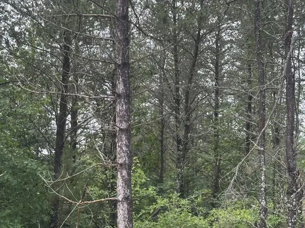 Near Cth Y S Rns Lot 15, Tomahawk, WI 54487