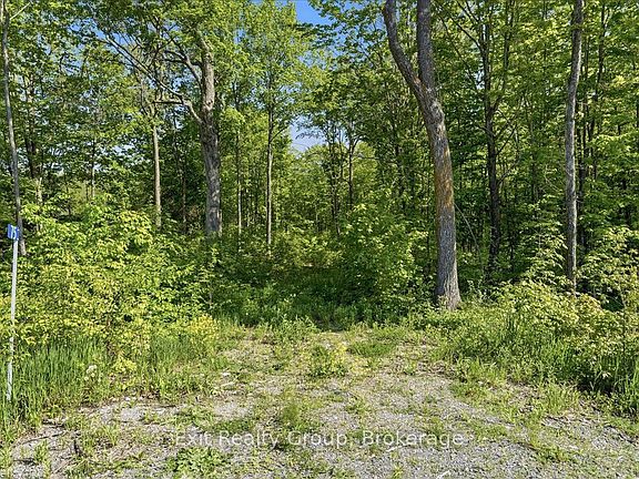 2nd image of 75 Spry Rd