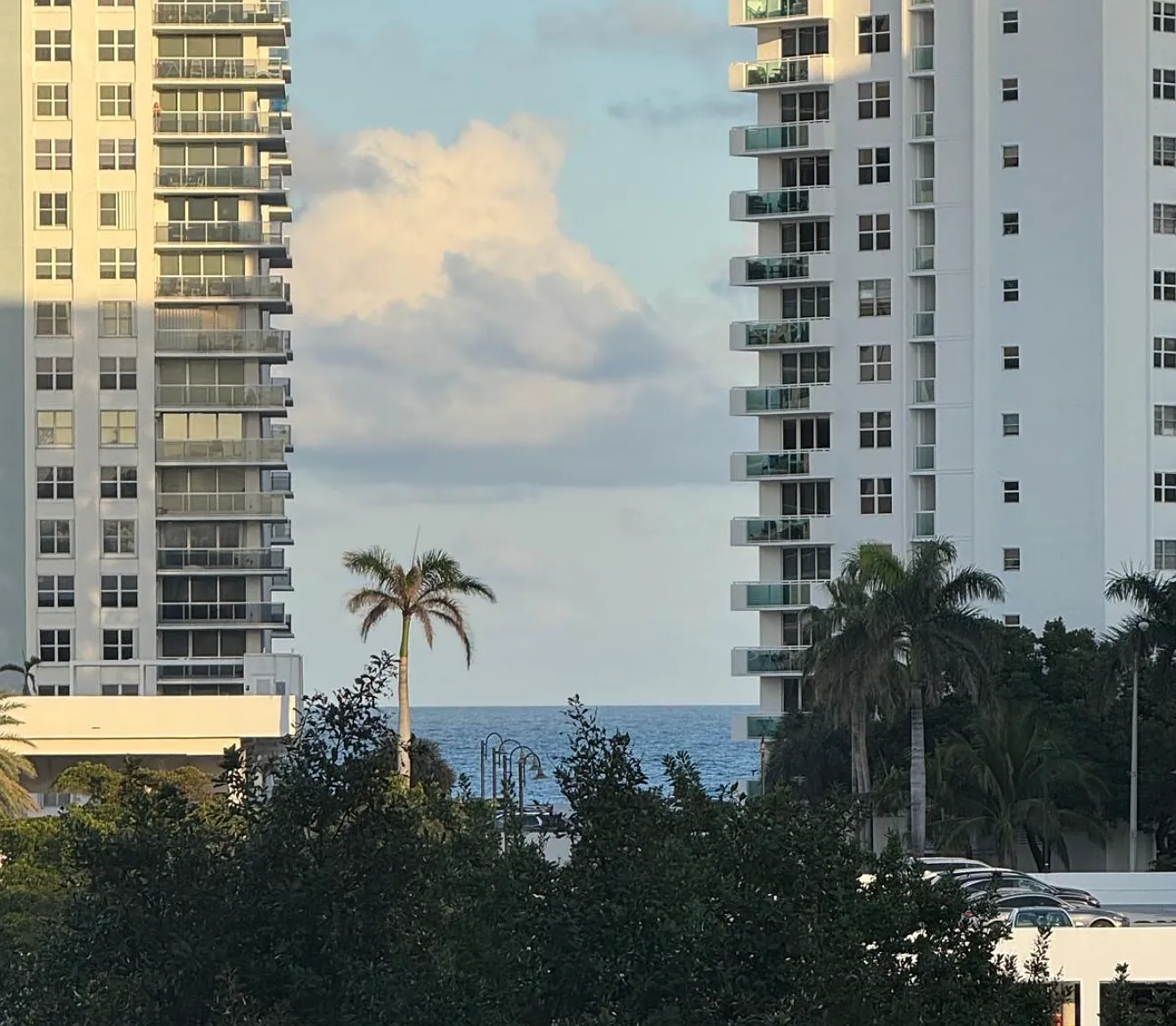 1 bed, 1.5 bath, 915 sqft, $1,950 — Photo 3