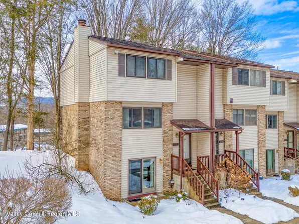 255 Village Court, Kingston, NY 12401