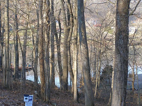 view from front porch