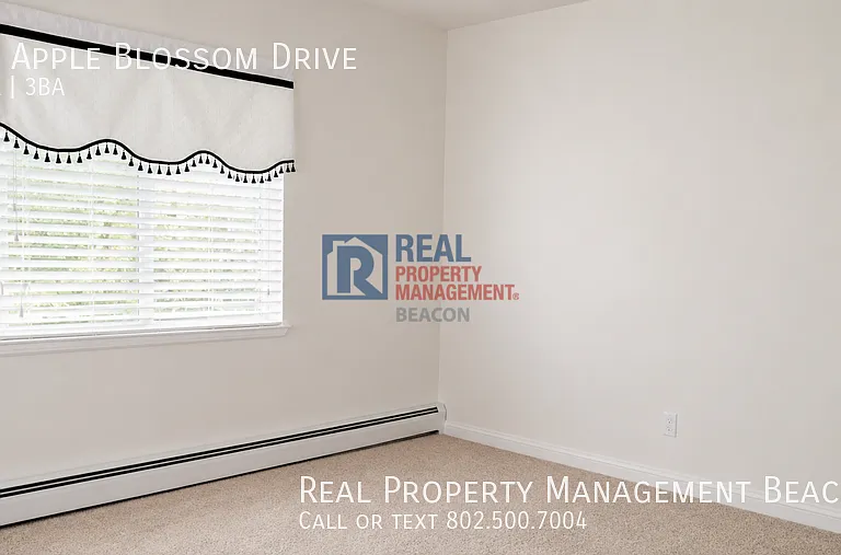 14 Apple Blossom Dr — Photo 11