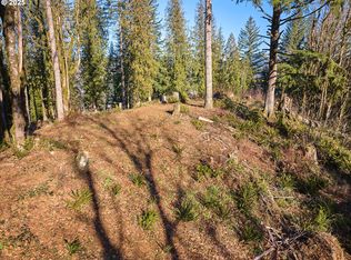 452 Wildlife Rd, Washougal, WA 98671