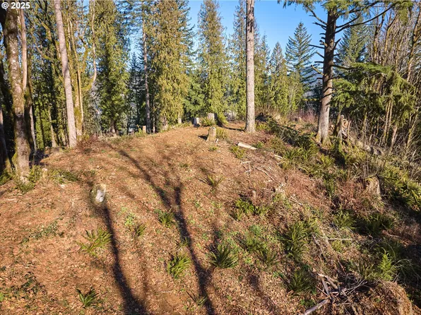 452 Wildlife Rd, Washougal, WA 98671