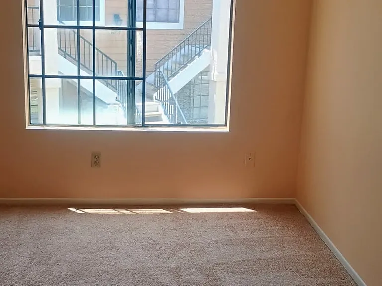 8513 Summerdale Rd #306 — Photo 10