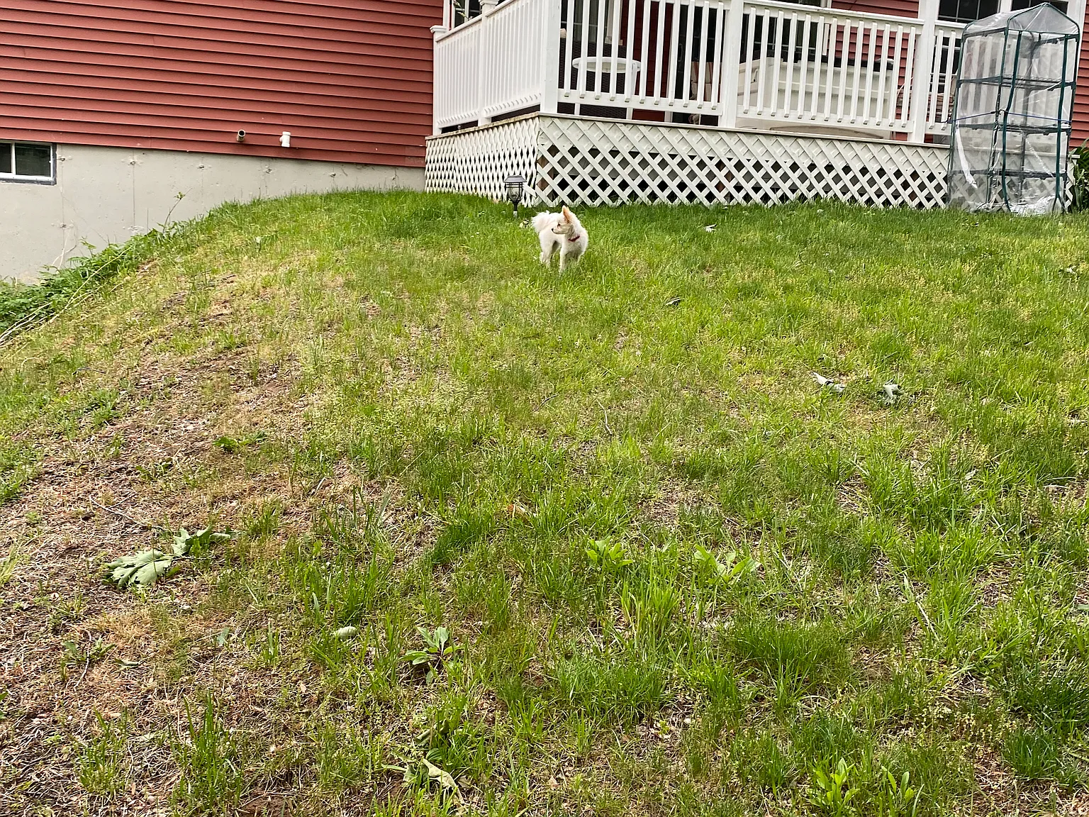 3109 River Rd — Photo 2