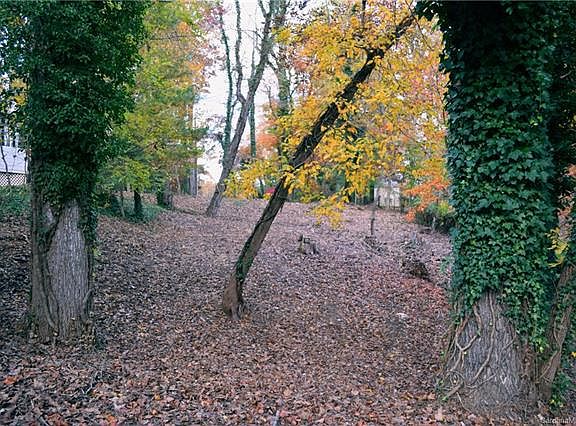2nd image of Tbd Stockbridge Pl #10