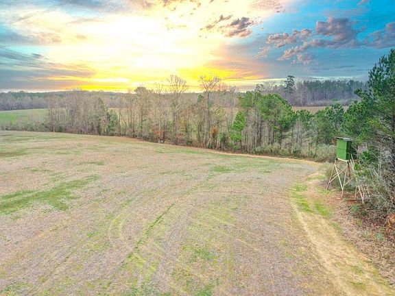 An abundance of wildlife can be found on the property. Great deer and turkey hunting.