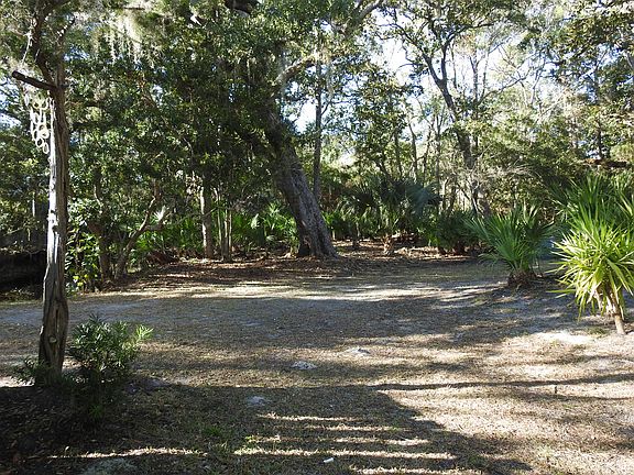 Maritime forest surrounding property