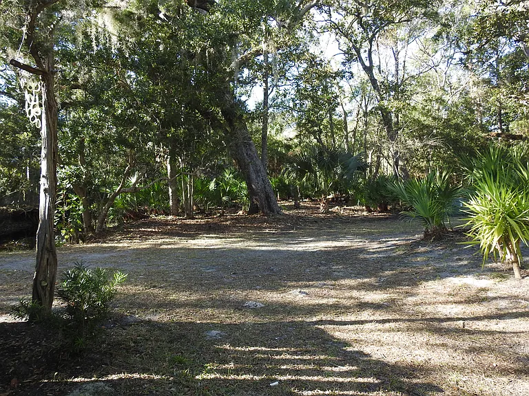 Maritime forest surrounding property